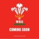 Welsh Rugby Union Square Calendar 2025