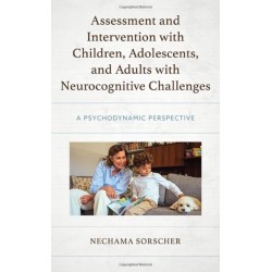 Assessment and Intervention with Children, Adolescents, and Adults with Neurocognitive Challenges: A Psychodynamic Perspective