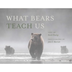 What Bears Teach Us
