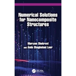 Numerical Solutions for Nanocomposite Structures