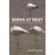 Birds at Rest: The Behavior and Ecology of Avian Sleep