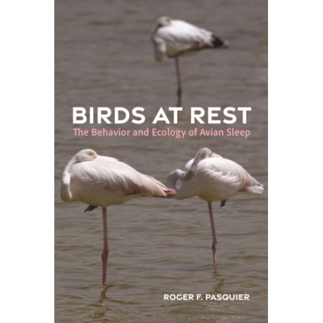 Birds at Rest: The Behavior and Ecology of Avian Sleep