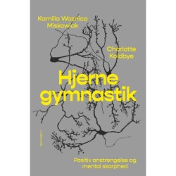 Hjernegymnastik: Vores kognitive evner skærpes ved anstrengelse