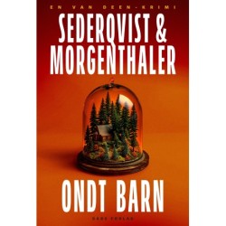 Ondt barn: En Van Deen-krimi
