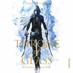 Throne of Glass -1: Kongens forkæmper