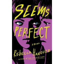 Seems Perfect: A Novel