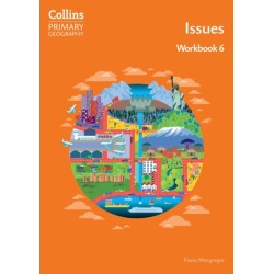 Issues – Workbook 6