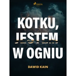 Kotku jestem w ogniu