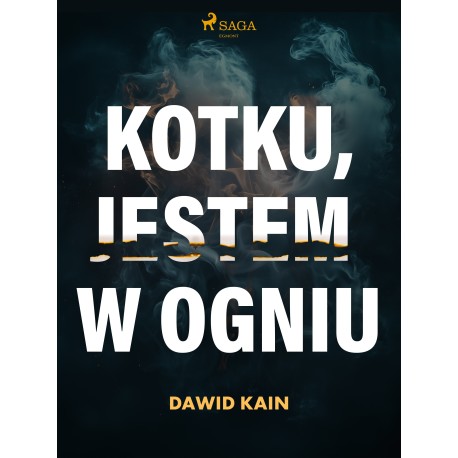 Kotku jestem w ogniu