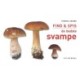 FIND & SPIS de bedste svampe