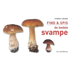 FIND & SPIS de bedste svampe