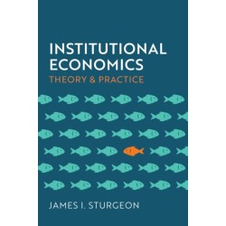 Institutional Economics: Theory and Practice
