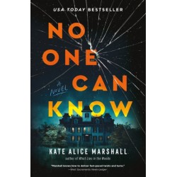 No One Can Know: A Novel