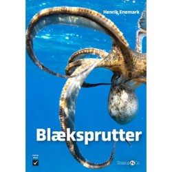 Blæksprutter