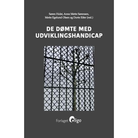 De dømte med udviklingshandicap