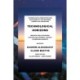 Technological Horizons: Insights for Accounting, Auditing and Internal Control in Emerging Markets