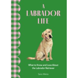 A Labrador Life: What to Know and Love About the Labrador Retriever