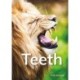 Teeth