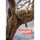 Sleeping spots
