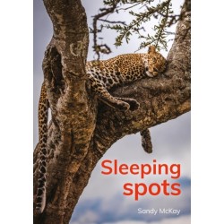 Sleeping spots