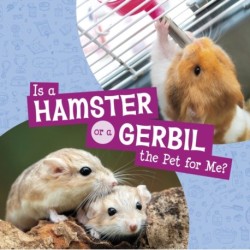 Is a Hamster or a Gerbil the Pet for Me?