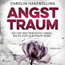 Angsttraum: Psychologische Spannung voller überraschender Wendungen und Nervenkitzel! Für Fans von Ashley Elston