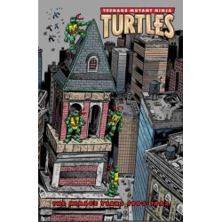 Teenage Mutant Ninja Turtles: The Mirage Years (1993–1995)