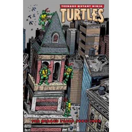Teenage Mutant Ninja Turtles: The Mirage Years (1993–1995)