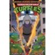 Teenage Mutant Ninja Turtles: Saturday Morning Adventures, Vol. 4
