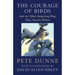 The Courage of Birds: And the Often Surprising Ways They Survive Winter
