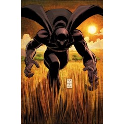 Black Panther by Reginald Hudlin Omnibus