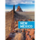 New Mexico