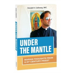 Under the Mantle: Marian Thoughts from a 21st Century