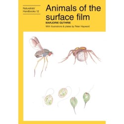 Animals of the surface film