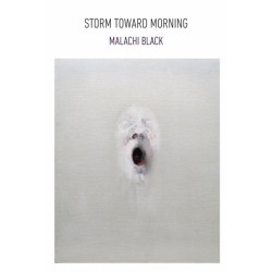 Storm Toward Morning