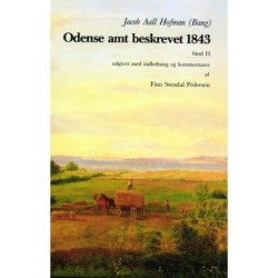 Odense amt beskrevet 1843 bd.2