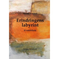 Erindringens labyrint: Et tidsbillede