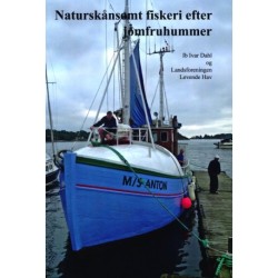 Naturskånsomt fiskeri efter jomfruhummer