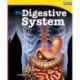 The Digestive System