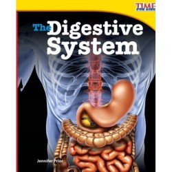 The Digestive System