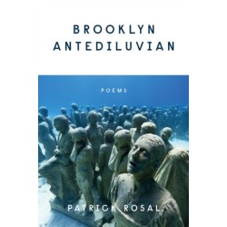 Brooklyn Antediluvian: Poems