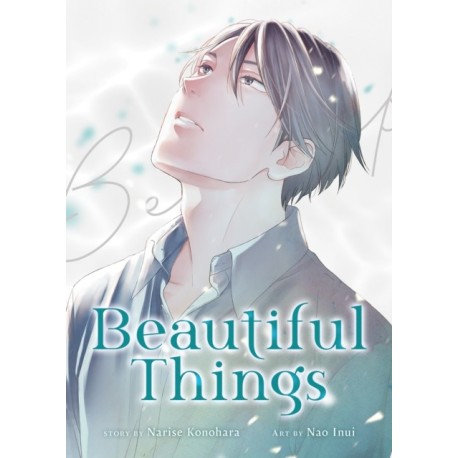 Beautiful Things: The Complete Manga Collection