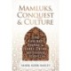 Mamluks, Conquest and Culture: The Ghurid Empire and Early Delhi Sultanate c.1150–1236