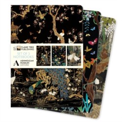 Ashmolean Museum Set of 3 Standard Notebooks