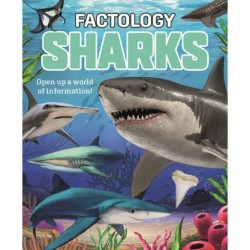 Factology: Sharks: Open Up a World of Information!