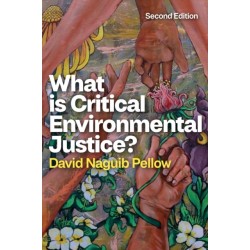 What is Critical Environmental Justice?