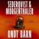 Ondt barn: En Van Deen-krimi