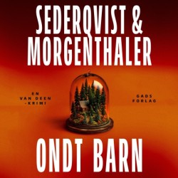Ondt barn: En Van Deen-krimi