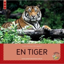 En tiger: Fagfidusen. Niveau 3