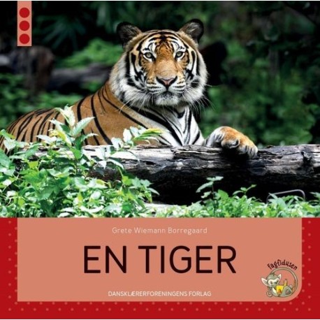 En tiger: Fagfidusen. Niveau 3
